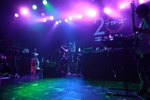 LAMA（C）amita mari