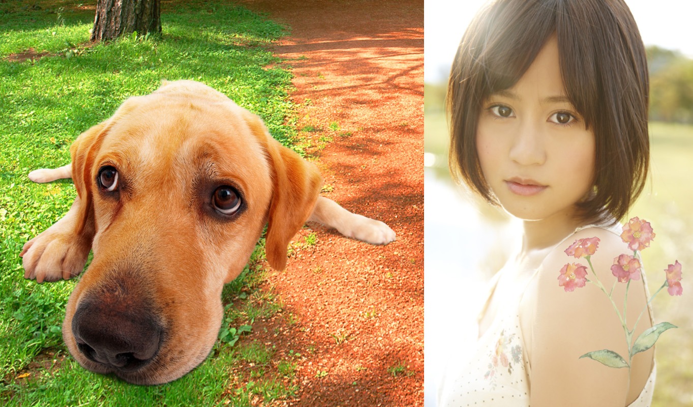 前田敦子（写真右）とまさお君（左）。