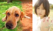 前田敦子、新曲が映画「LOVE まさお君が行く!」主題歌に