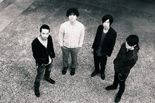 ストレイテナー