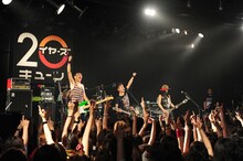 TOTALFAT