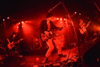 NICO Touches the Walls（撮影：古渓一道）