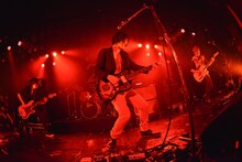 NICO Touches the Walls（撮影：古渓一道）