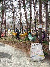 「ARABAKI ROCK FEST.12」の会場内の様子。