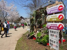 「ARABAKI ROCK FEST.12」の会場内の様子。