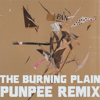 TOWA TEI「The Burning Plain（Punpee Remix）」ジャケット