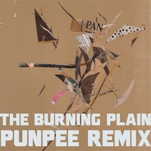 TOWA TEI「The Burning Plain（Punpee Remix）」ジャケット