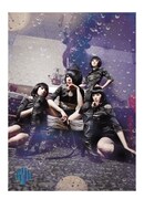 単独公演ツアー「サロン・ド・キノコ～水も滴る好いおんな」フライヤー