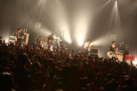 写真は6月3日のストレイテナーのライブの模様。