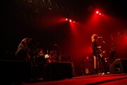 写真は6月2日のART-SCHOOLのライブの模様。