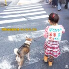 SFU中川敬、2ndソロアルバムに先駆け配信シングル発表