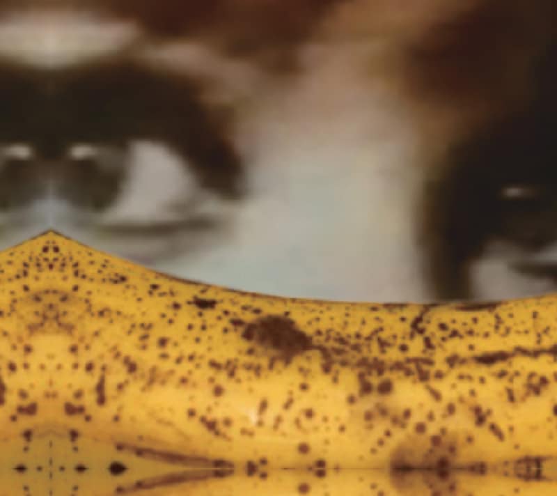 アルバム「more than TV」ジャケット