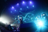 「SAKANAQUARIUM 2012 ZEPP ALIVE」Zepp Tokyo公演の様子。（撮影：石阪大輔【Hatos】）