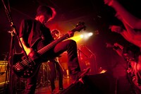 写真は奄美ライブの模様。(c) shimbo yuki