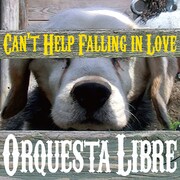 アルバム「Can't Help Falling In Love~好きにならずにいられない」ジャケット