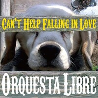 アルバム「Can't Help Falling In Love～好きにならずにいられない」ジャケット