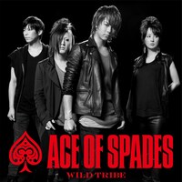 ACE OF SPADES「WILD TRIBE」CD盤ジャケット