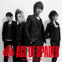 ACE OF SPADES「WILD TRIBE」CD+DVD盤ジャケット