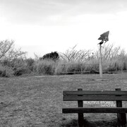 アルバム「ビューティフル・ストーリーズ」ジャケット