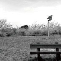 アルバム「ビューティフル・ストーリーズ」ジャケット