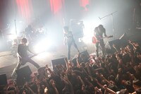 「AFOC presents VS tour "(LOVE IS LIKE A) SUMMERTIME BLUES The Circuit"」東京公演のTHE BACK HORNのステージの様子。