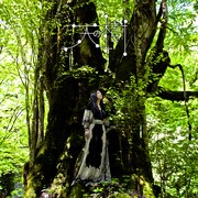 天野月、4年ぶりフルアルバムにWiiゲーム「零」テーマ曲