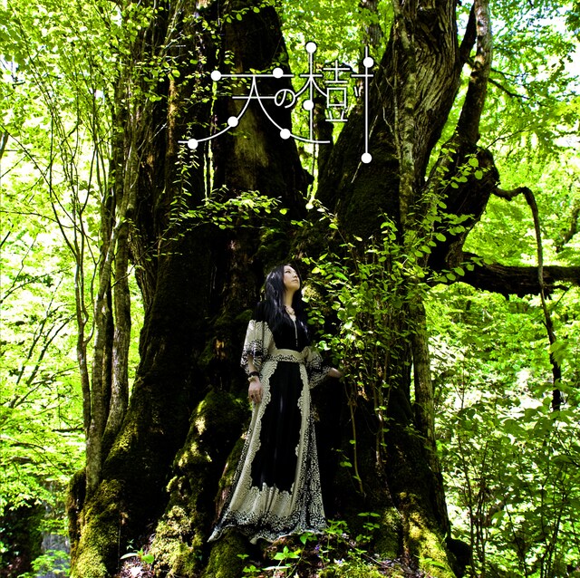 アルバム「天の樹」ジャケット