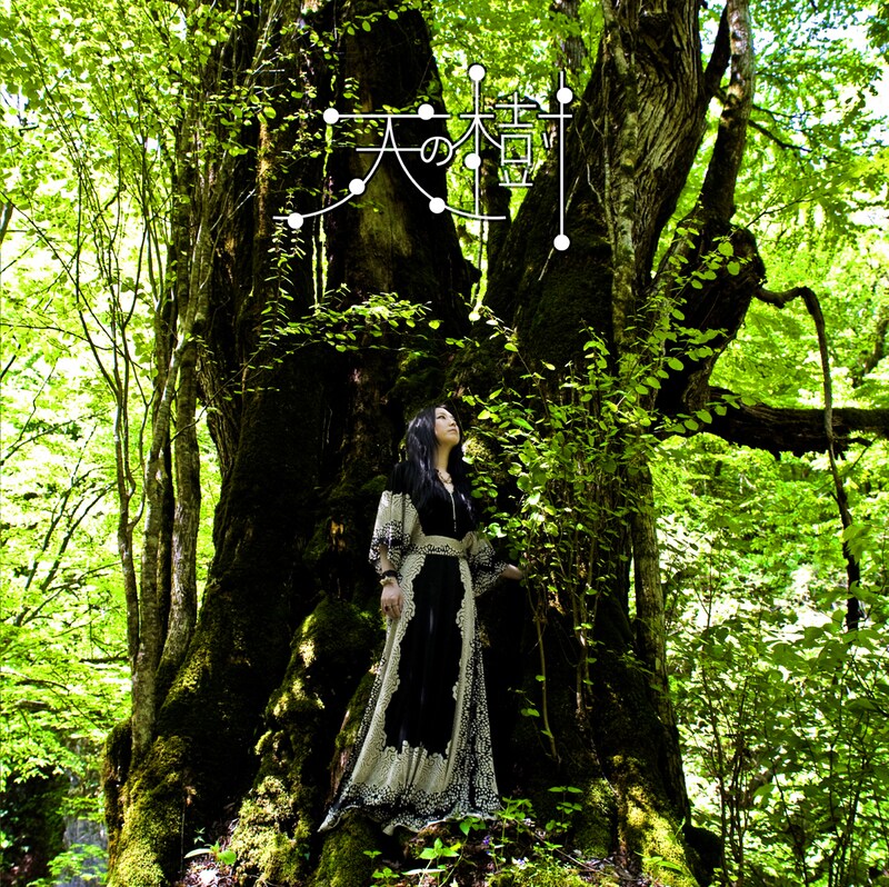 アルバム「天の樹」ジャケット