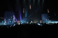 写真は15日のASIAN KUNG-FU GENERATIONのライブの模様。