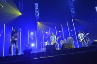 写真は15日のDr.DOWNERのライブの模様。