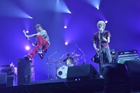 写真は16日の10-FEETのライブの模様。