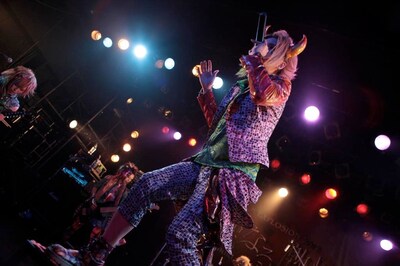 カメレオ（撮影：西槙太一）