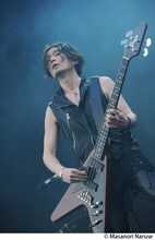 BOOM BOOM SATELLITES