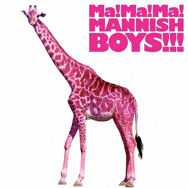 アルバム「Ma! Ma! Ma! MANNISH BOYS!!!」ジャケット