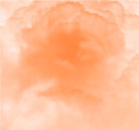 OGRE YOU ASSHOLE「100年後」ジャケット