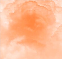 OGRE YOU ASSHOLE「100年後」ジャケット