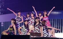 Cheeky Parade