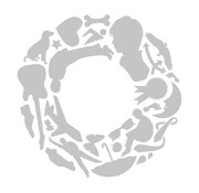 ミニアルバム「互」ジャケット