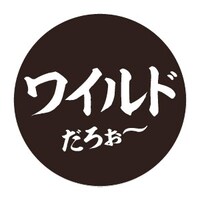 「ハイテンションMIX Wild J-POP COVERS mixed by DJ eLEQUTE」ヴィレッジヴァンガード初回プレス盤購入者特典バッジ