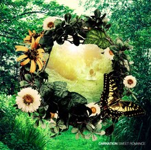 カーネーション「SWEET ROMANCE」ジャケット