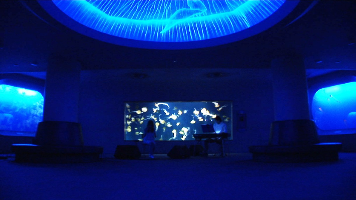 写真は8月19日に行われたAimerインターネットライブの模様。