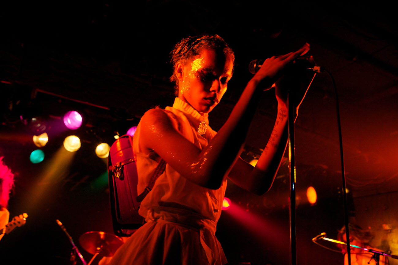 女王蜂（Photo by 鈴木万祐子）