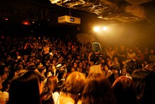 女王蜂（Photo by 鈴木万祐子）