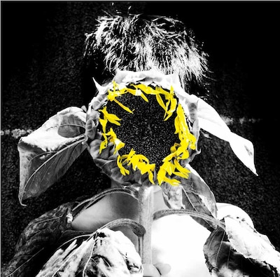 K DUB SHINE「沈まぬ太陽」ジャケット