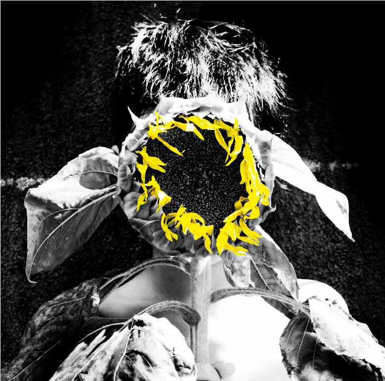 K DUB SHINE「沈まぬ太陽」ジャケット