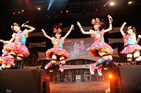 チームしゃちほこ