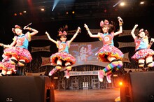 チームしゃちほこ