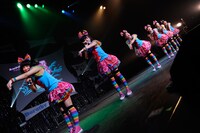 チームしゃちほこ