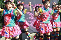 チームしゃちほこ