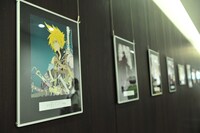 雑誌「ガンガン」編集部の協力により寄稿されたマンガ家によるゲストイラスト。